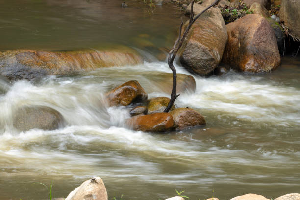 Stream at George W. Childs Recreation Site in Delaware Water Gap National Recreation Area,, Dingmans Ferry, Pennsylvania, USA