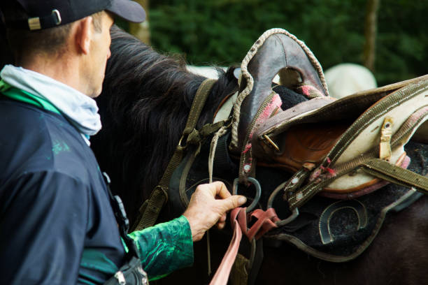 istock A man is holding a rope on a horse's bridle 2165635640