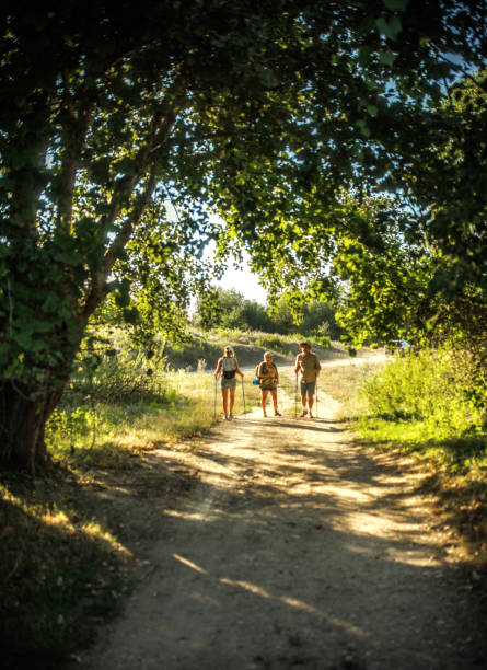 Group of seniors hiking and exploring the forest