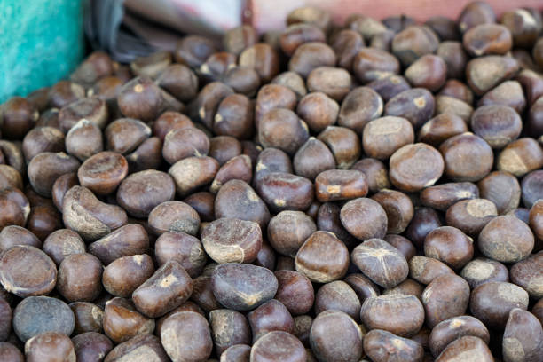 Roasted chestnuts at street stall. Full frame.