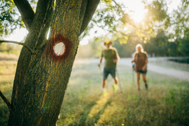senior  couple hiking behind marking on tree