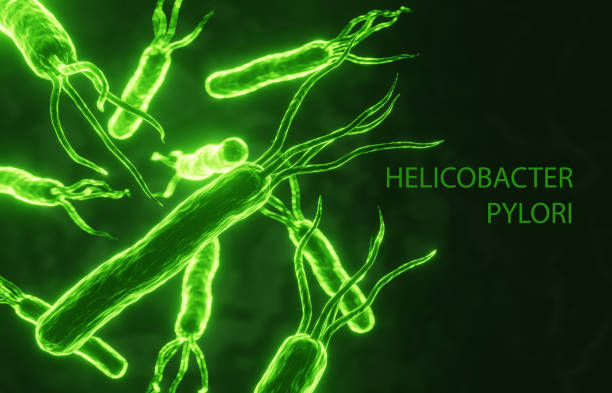 Helicobacter pylori bacteria cells on green background. Gastritis disease. 3d-rendering