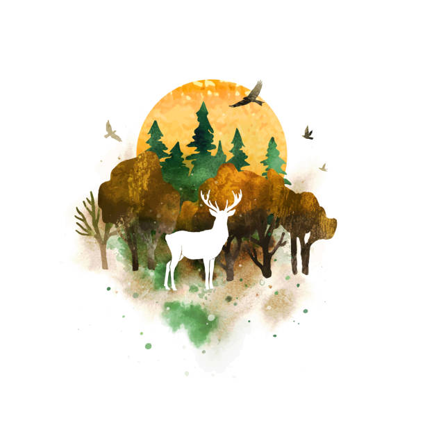 istock Autumn vector landscape with deer, forest, sun and birds isolated on white dackground. Morning haze in the forest. Watercolor nature hand drawn illustration. All elements are individual objects 2165640488