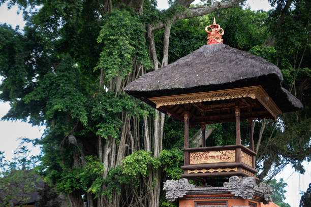 istock the local temple in Bali, Indonesia 2165642946