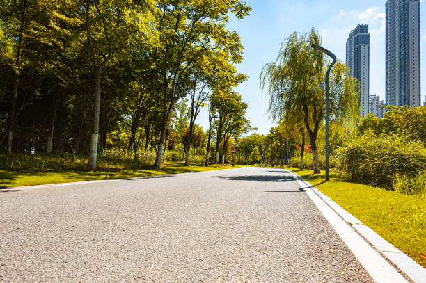 istock Asphalt road through the city park 2165645952