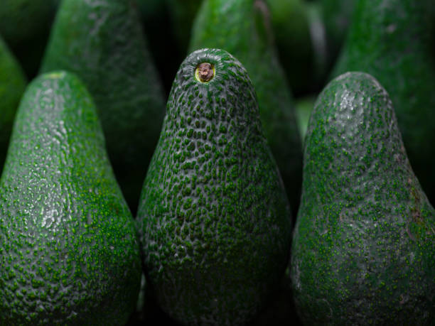istock fresh avocados at the market 2165649075