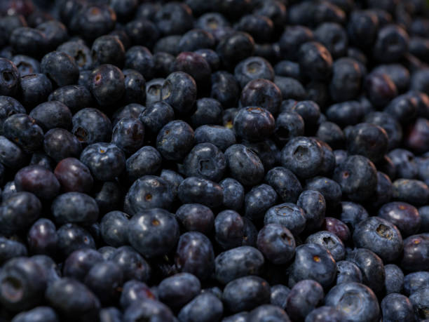 istock close-up of healthy blueberries 2165649711