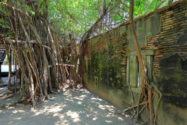 istock Anping Tree House, a former warehouse overgrown with banyan trees 2165652710