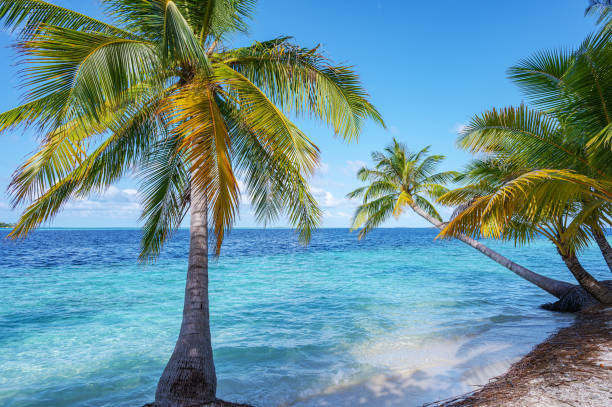 istock Tropical paradise beach scene for background or wallpaper 2165652766