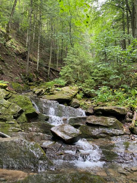 istock mountain river in the mountain canyon 2165657916