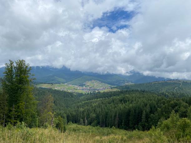 istock landscape with summer mountains with fog 2165659290