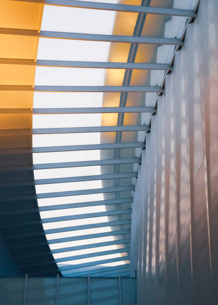 Architecture details Glass roof Skylight Curve steel structure Modern building