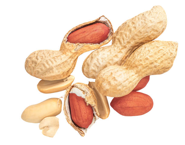 istock  Levitating crucked peanuts in the air isolated on a white background. Flying Broken Peauts close up. Salty Peanut explosion with crumbs 2165667200