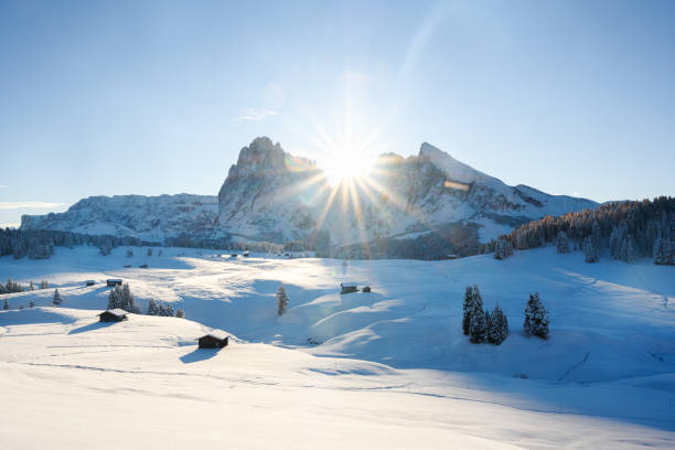 istock Sunny day at Alpe di Siusi meadow on winter time 2165667252