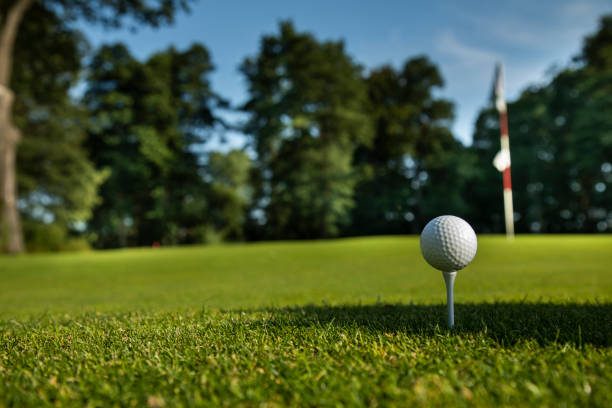 istock Golf ball in a club in the forest 2165667802