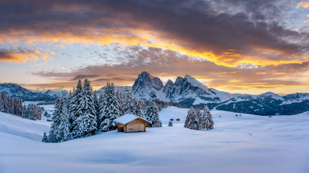 Panoramic view on Alpe di Siusi meadow with small wooden log cabin