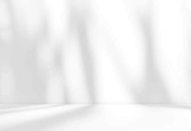 istock Empty white room studio with leaves shadow overlay effect for product presentation display. 2165672659