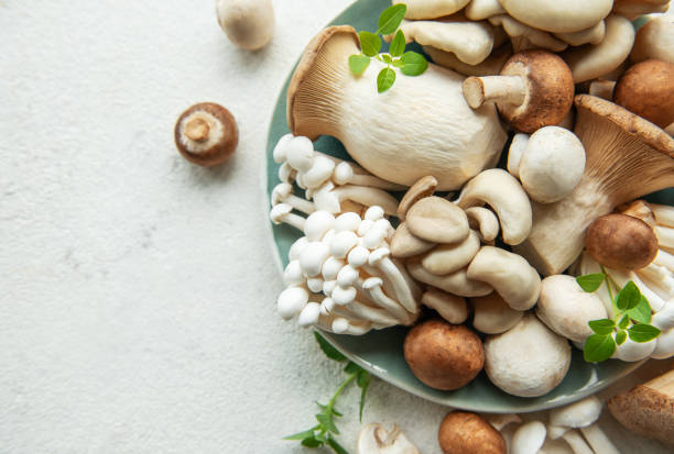 istock Assortment of various raw mushrooms on gray concrete background 2165674776