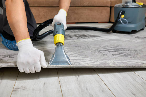 istock Professional cleaning service using vacuum cleaner on carpet in spacious living room 2165677306