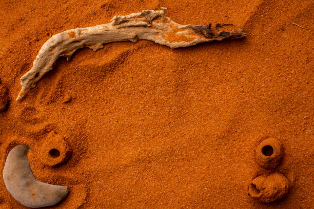 Close-up of silica in red Kalahari desert sand frame with camel thon seed pod, insect nests and copy space.