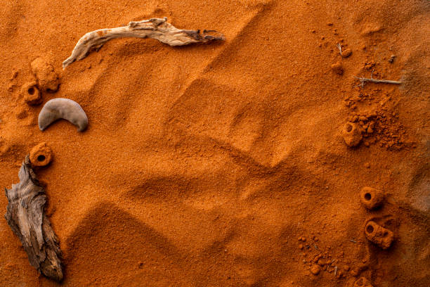Wide framed shot of silica in red Kalahari desert sand with camel thon seed pod, insect nests and copy space.