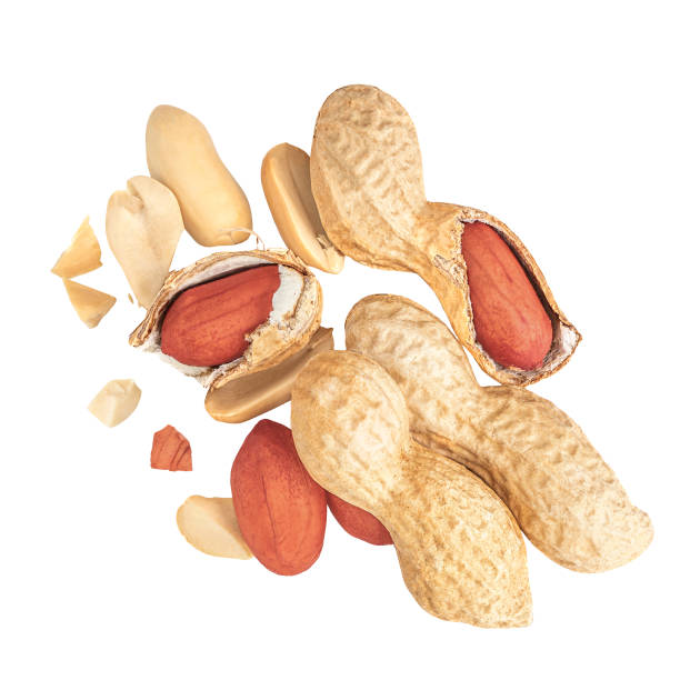 istock  Levitating crushed peanuts in the air isolated on a white background. Flying Broken Peauts close up. Salty Peanut explosion with crumbs 2165683037