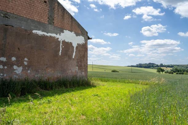 Barn in the countryside in summer
