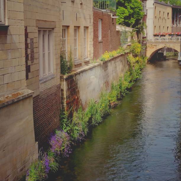 The river Geul on a quiet day