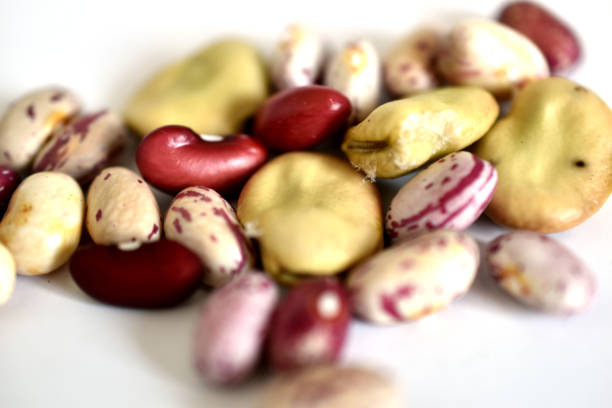 Bean grains and bean grains lie on a white background. Close-up.