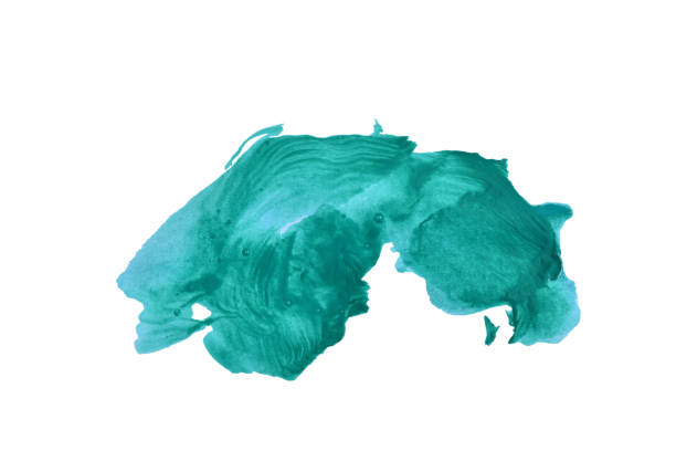 On a white background, a curved line drawn with green acrylic paint.