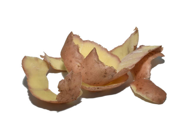 Peeled brown potato peel lies on a white background.