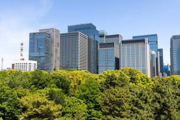 A photography of traffic jam at the city street in Tokyo daytime fish eye shot. High quality photo. Bunkyo district Tokyo Japan 04.19.2025 Here is an electric quarter in Tokyo. It is center of the city in Tokyo.