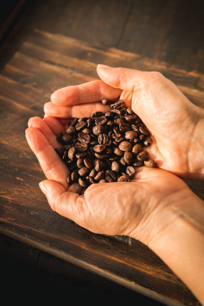 istock Hands Holding Freshly Roasted Coffee Beans 2165694447