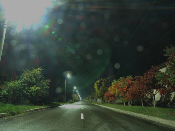 Night travel by car. night road in the light of lanterns.