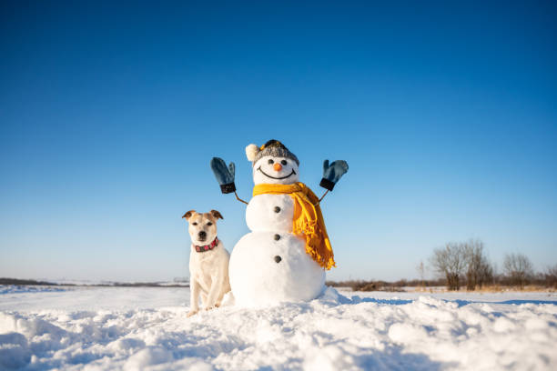 istock Funny snowman in knitted hat 2165697340