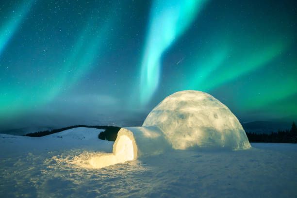 istock Wintry scene with glowing polar lights and snowy igloo 2165697641