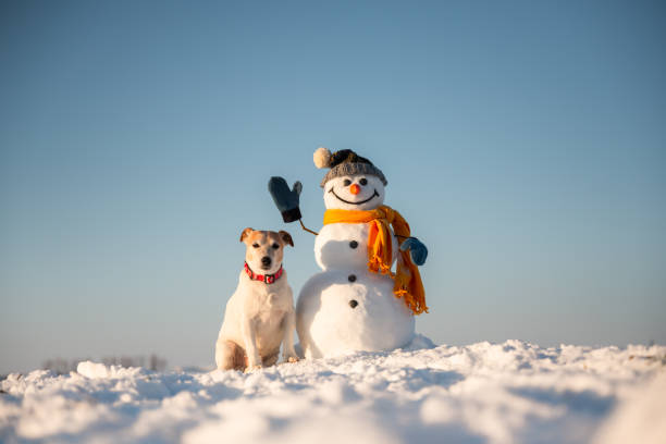 istock Funny snowman in knitted hat 2165697998