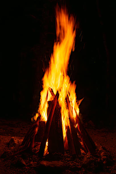 istock Large Bonfire in the Jungle at Night 2165703321