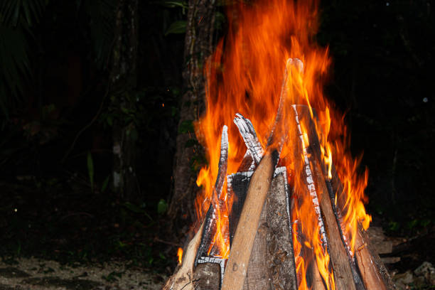 Great bonfire deep in the jungle night.