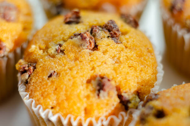 A close up of a muffin with chocolate chips on top. The muffin is sitting on a white plate