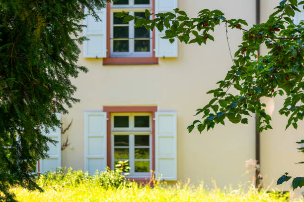 istock house with two windows and a tree in front of it 2165713928
