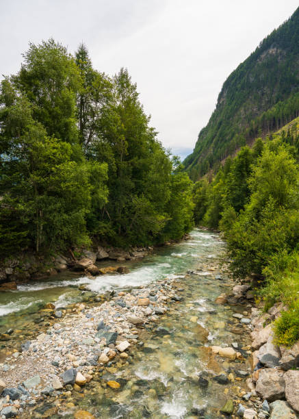 istock Colorful view in Austrian Alps. Fast mountain river, dense green forest. High mountains Hohe Tauern. Grossglockner National Park. Austria 2165716213