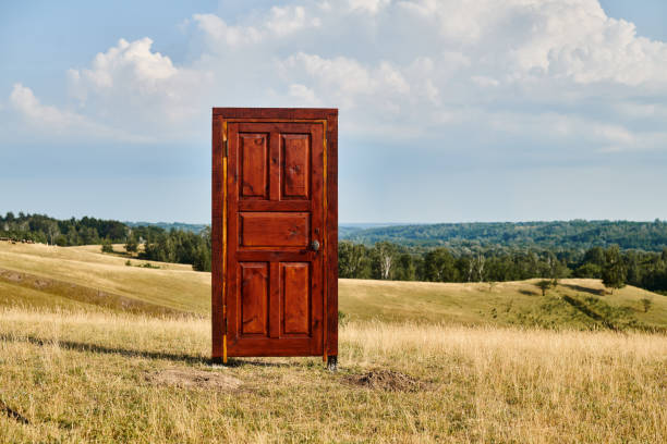 A solitary wooden door stands in the countryside, framed by lush fields and a vast, open sky.