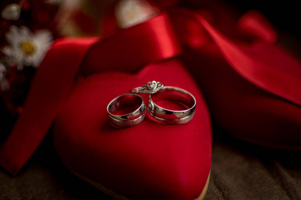 Wedding rings on the bride's red heels