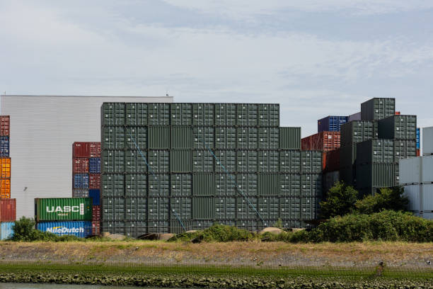 Shipping Cargo Containers Floating in the Ocean. 3D Render