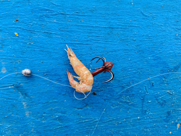 simple fishing rod with shrimp bait and ballast made of tin
