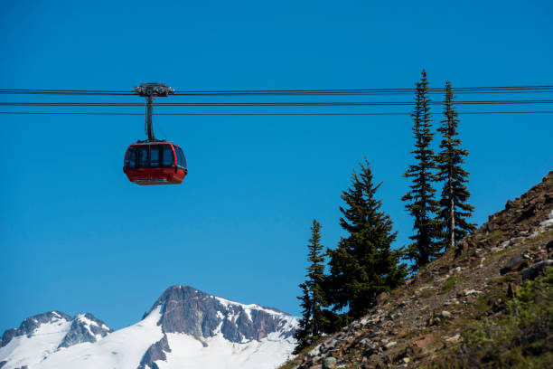 istock Gondola on cables above forest and mountains 2165729207