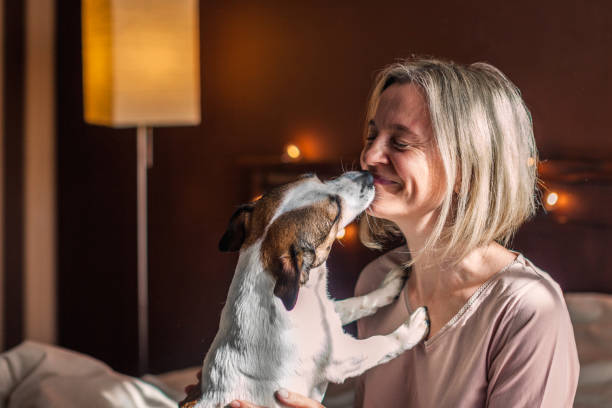 istock Happy middle aged woman sits on bed and stretching arms 2165729295