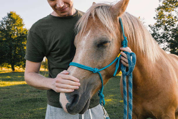 istock Man is embracing of therapy horse 2165729569