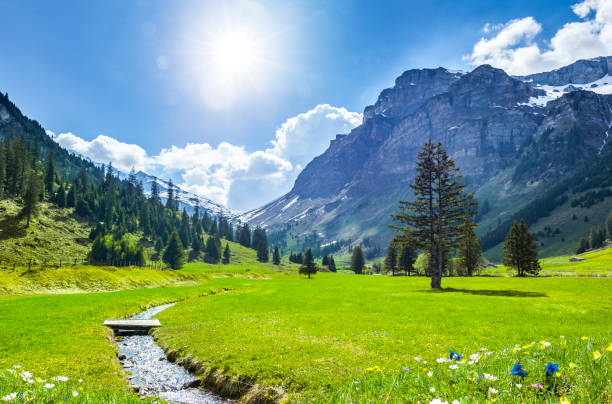 Beautiful Swiss landscape in spring